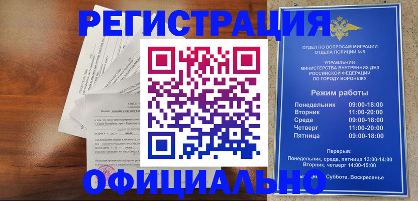прописка поиск в Чкаловске