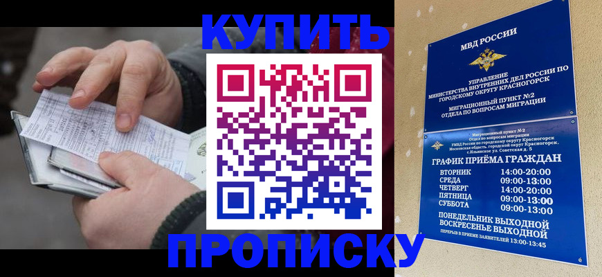 временная регистрация недорого в Чкаловске